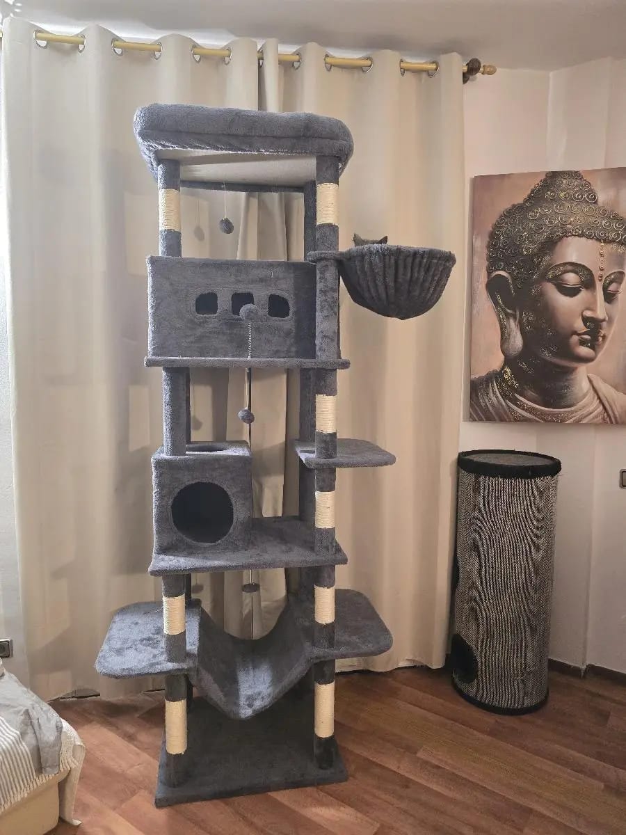 Foto da avaliação Carlos 1