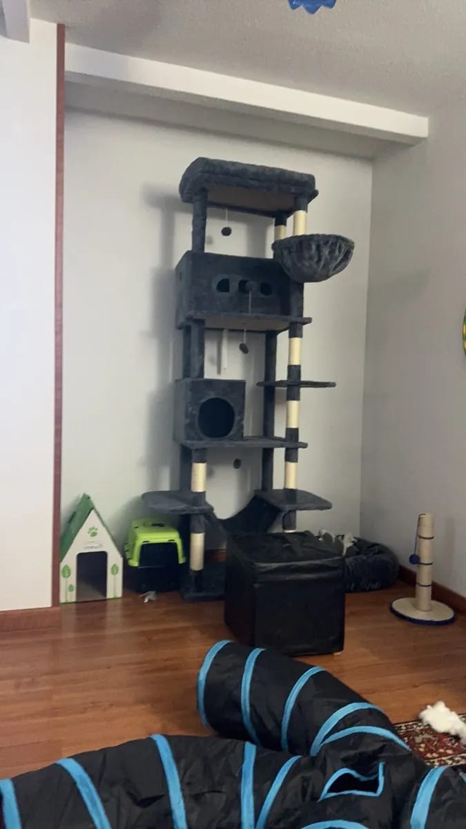 Foto da avaliação Carlos 1