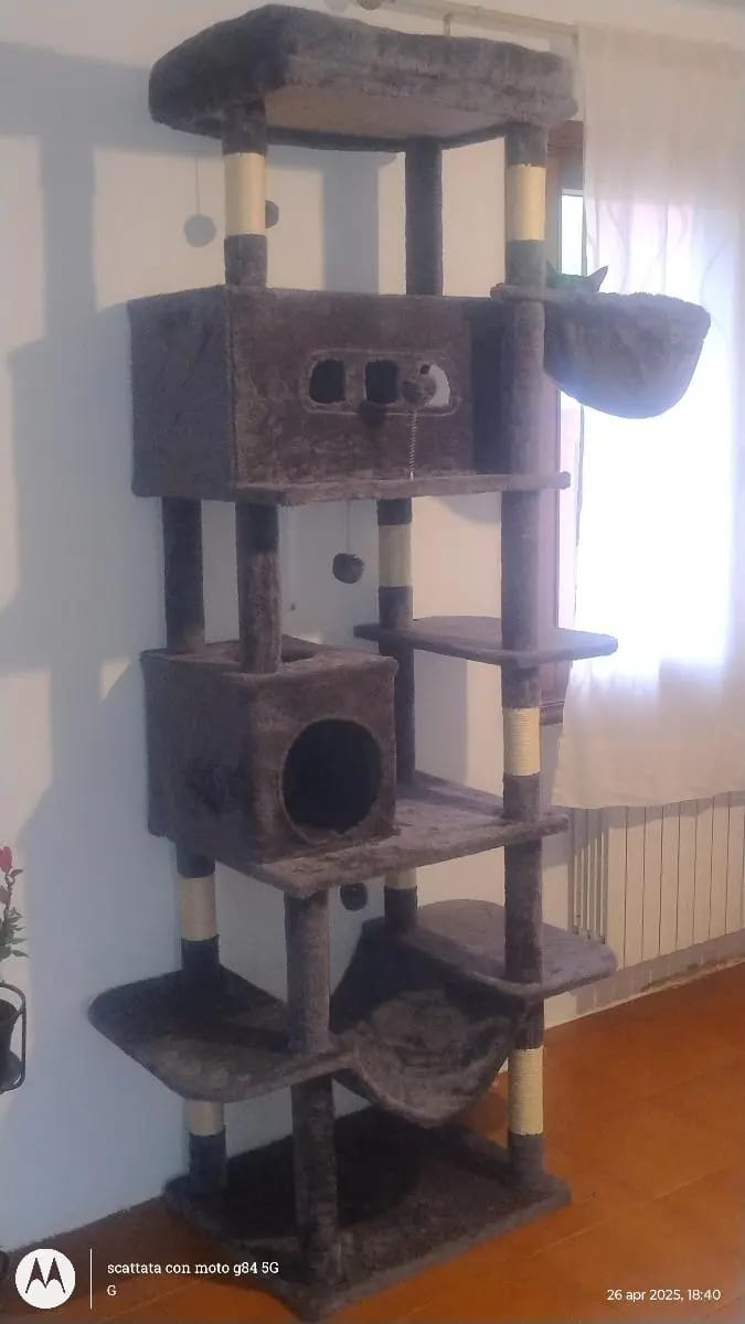 Foto da avaliação Carlos 2