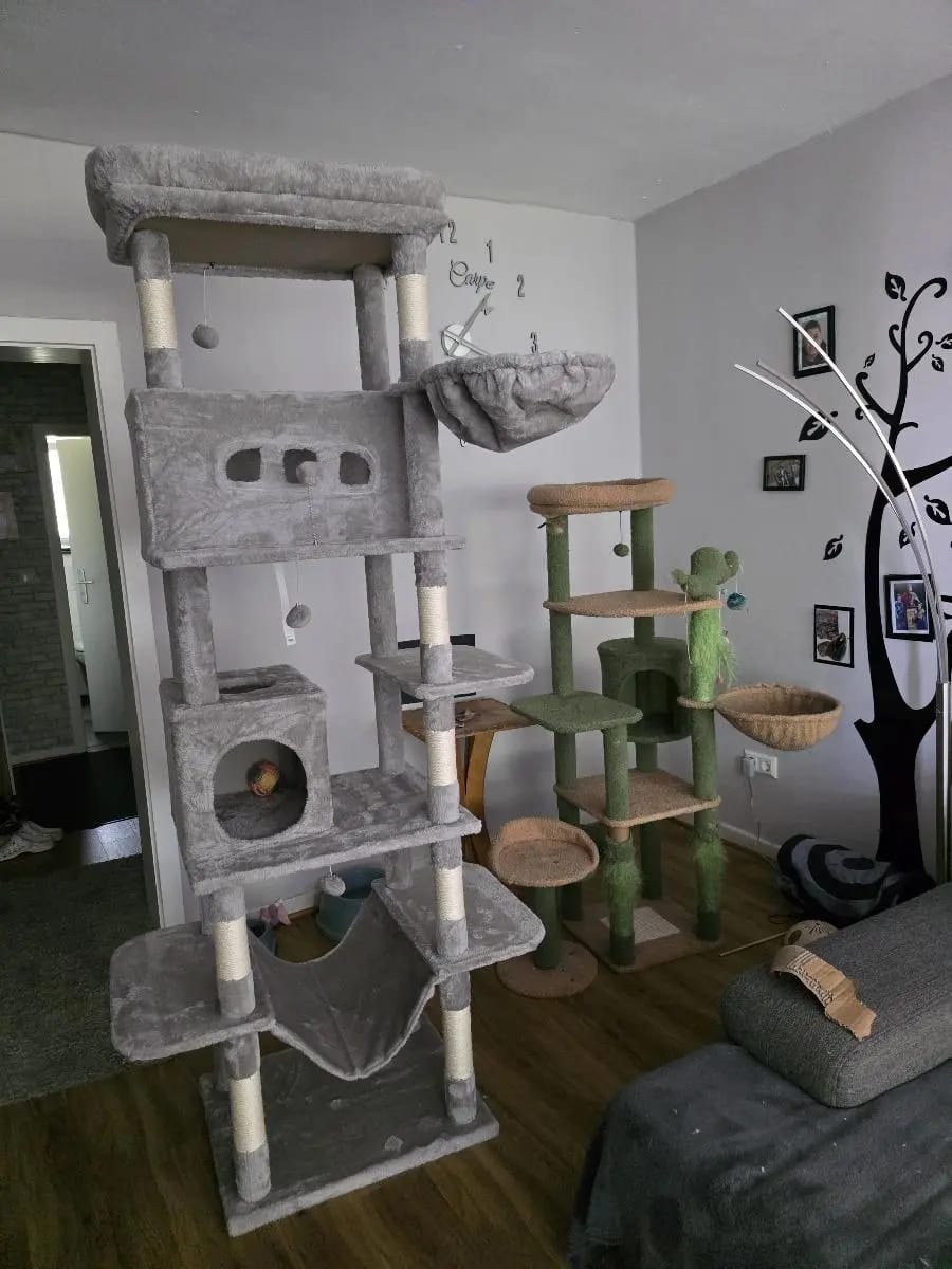 Foto da avaliação Carlos 1