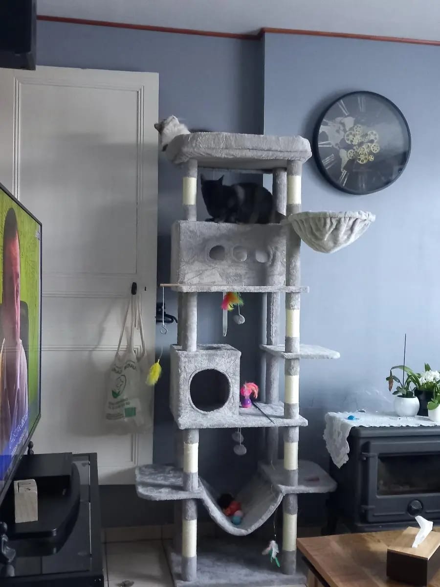 Foto da avaliação Carlos 1