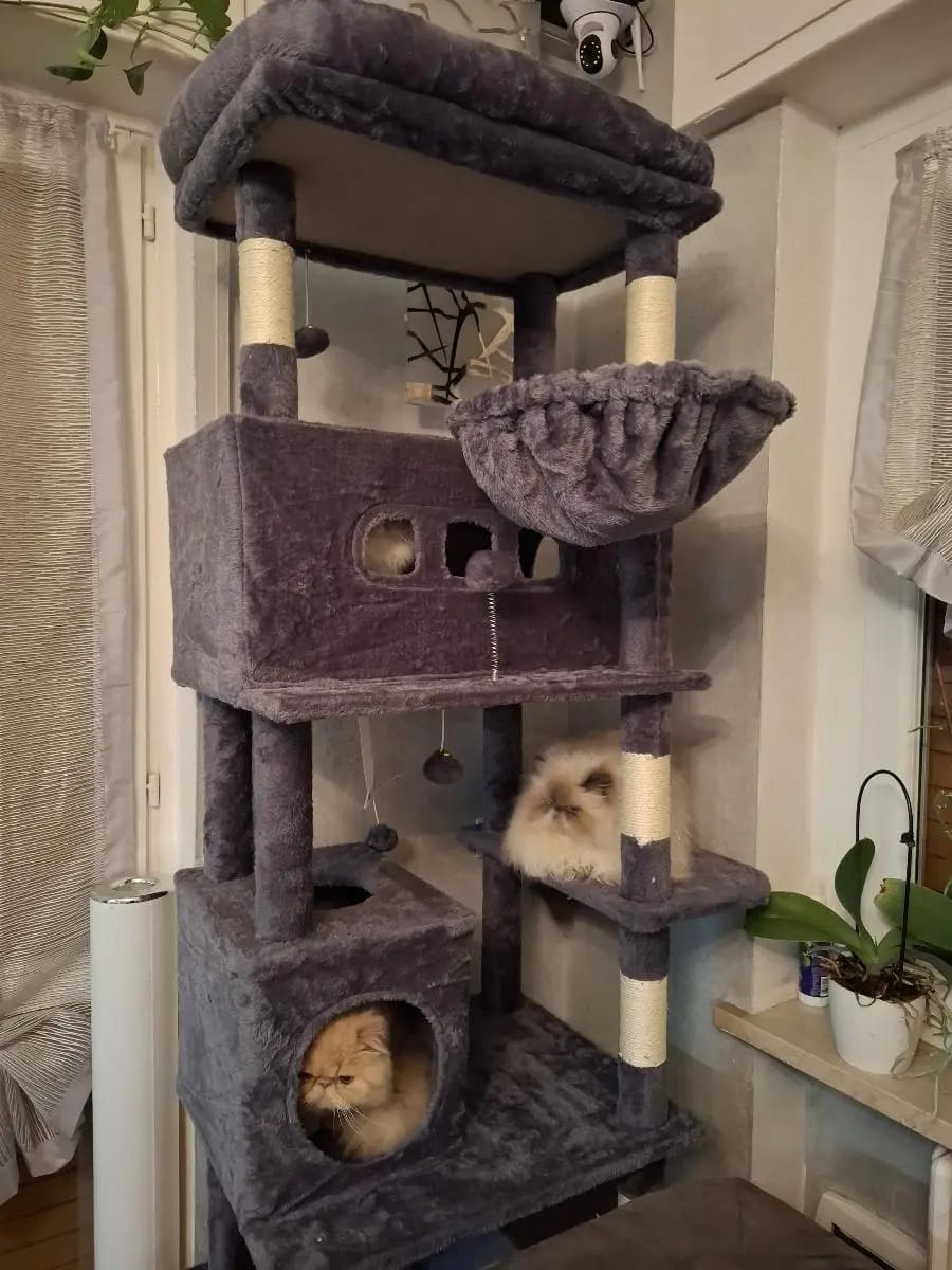 Foto da avaliação Carlos 1