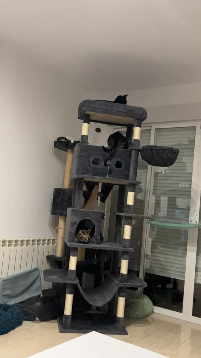 Foto da avaliação Carlos 1