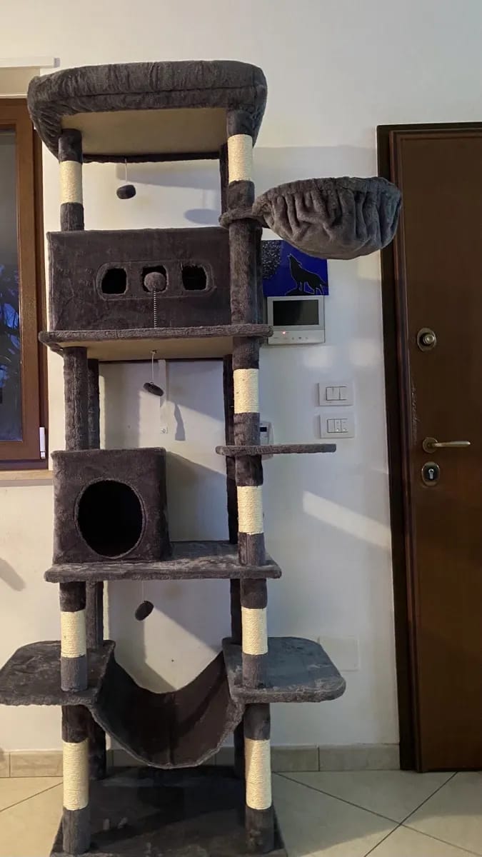 Foto da avaliação Carlos 1